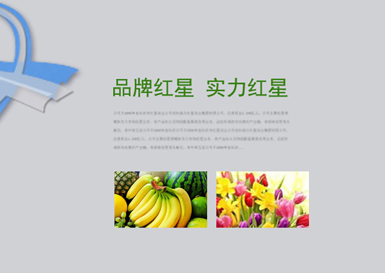 Project Image 1