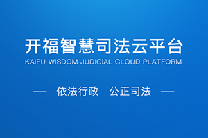 中标：开福区司法局门户平台